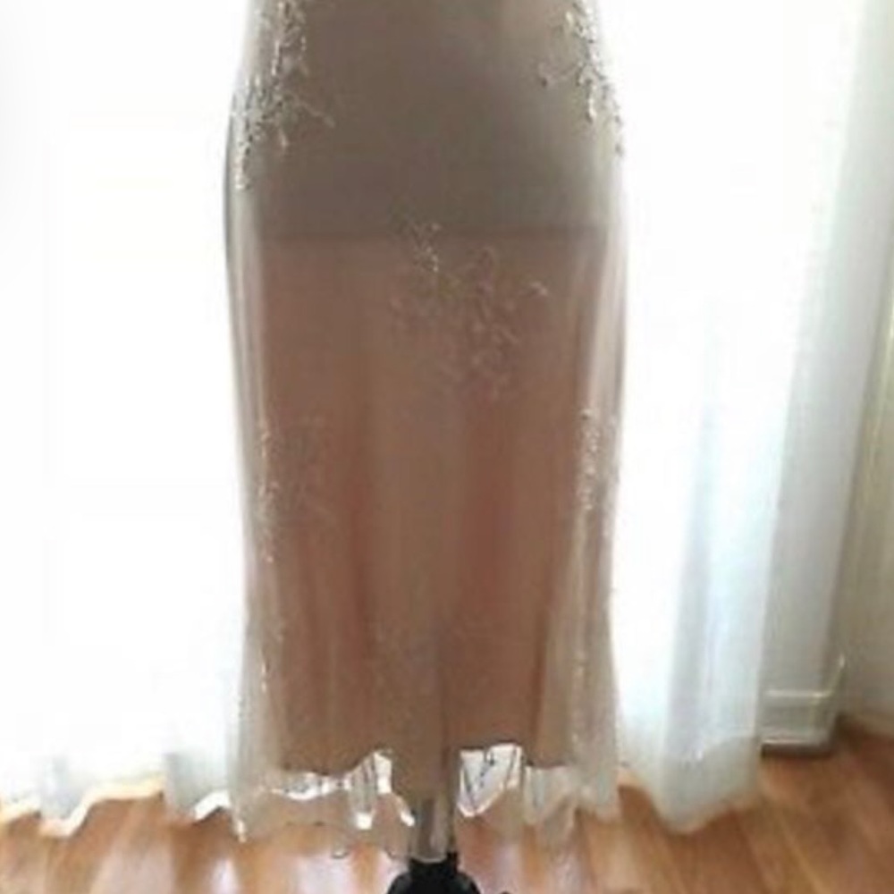 Sue Wong Women’s Nude Party Dress Sz 8 - Picture 7 of 8
